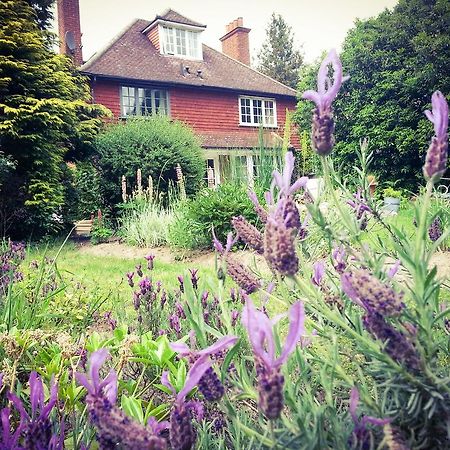 Rosemead Guest House Claygate Exteriör bild