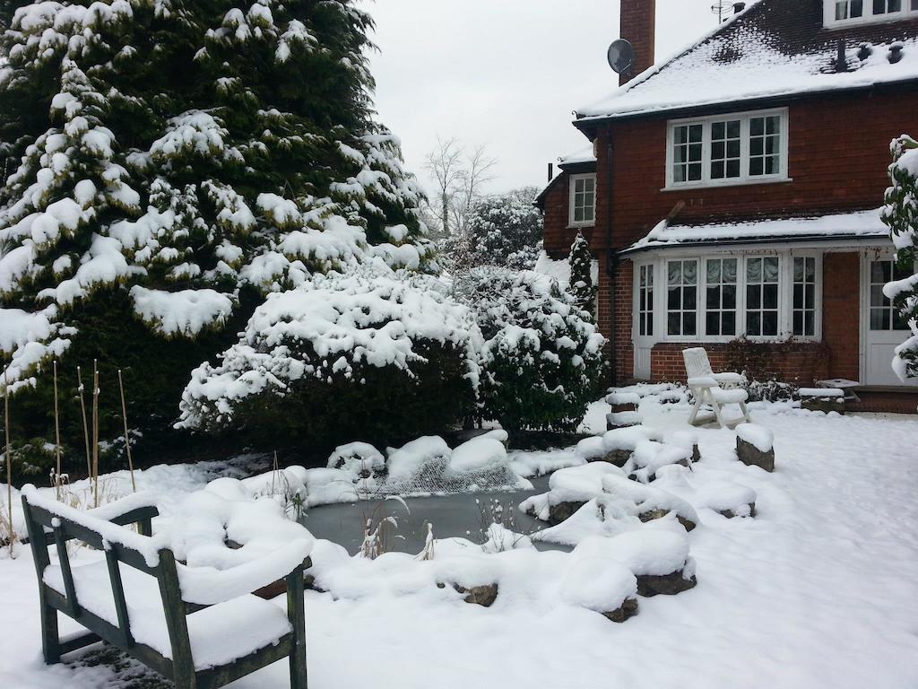 Rosemead Guest House Claygate Exteriör bild