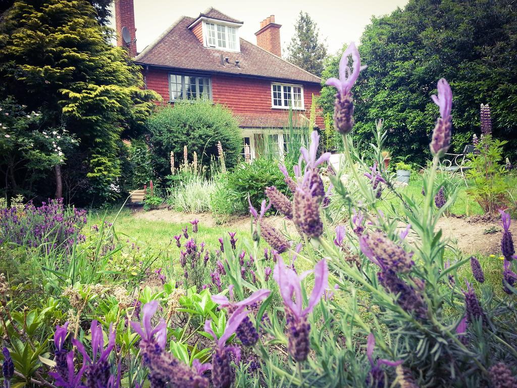 Rosemead Guest House Claygate Exteriör bild